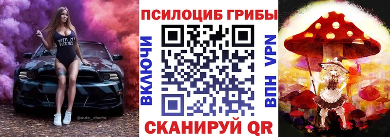 Купить где  Сусуман  Псилоцибиновые грибы Magic Shrooms 